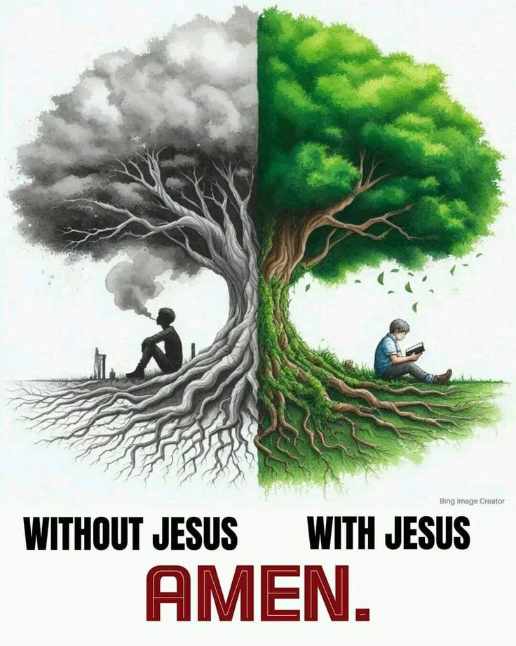 realdanieltitus's tweet photo. Without Jesus = dry, dead, smoking, broken

With Jesus = green, alive, reading, rooted, growing.

John 15:5 https://t.co/MBNWYQHzDr