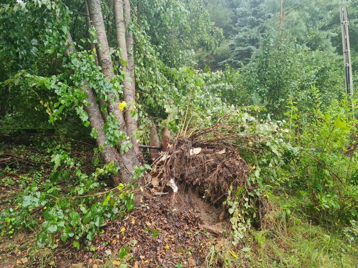 Zachedrynski's tweet photo. Trzeba dać na mszę dziękczynną, bo wichura położyła tylko dwa drzewa i to nie na domu, tylko po dwóch jego stronach. Zniszczona balustrada na balkonie, naderwany przewód energetyczny i wygięte mocowanie anteny to w tej sytuacji właściwie nie straty - mogło już nie być domu i samochodu...