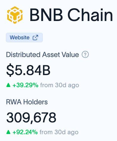 PezhmanBlock's tweet photo. تعداد دارندگان دارایی‌های دنیای واقعی (RWA) روی شبکه BNB Chain از 300 هزار  نفر عبور کرد و به یک رکورد تاریخی (ATH) جدید رسید. https://t.co/Rt3AsKszQb