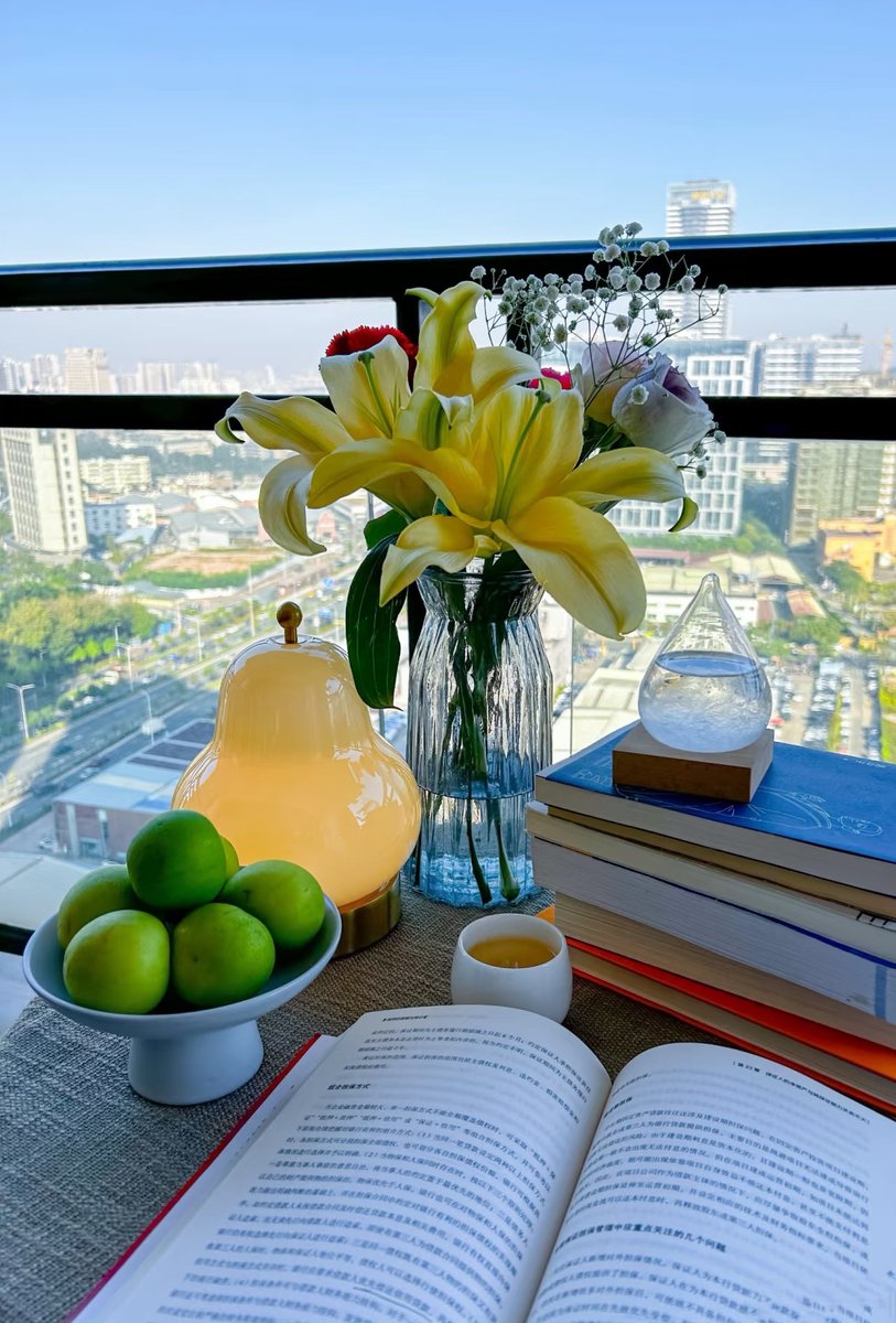 JudyMirabal2's tweet photo. Just swapped my office desk for a tiny balcony spot with a potted basil and morning coffee—small changes make big days https://t.co/mXES6qd441