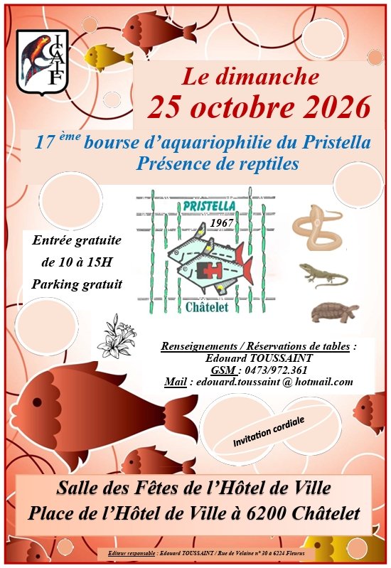 FedeAqua's tweet photo. Belgique - Châtelet - 5 octobre - Bourse du Pristella
https://t.co/olAHGgatFO https://t.co/b2oieSC28R