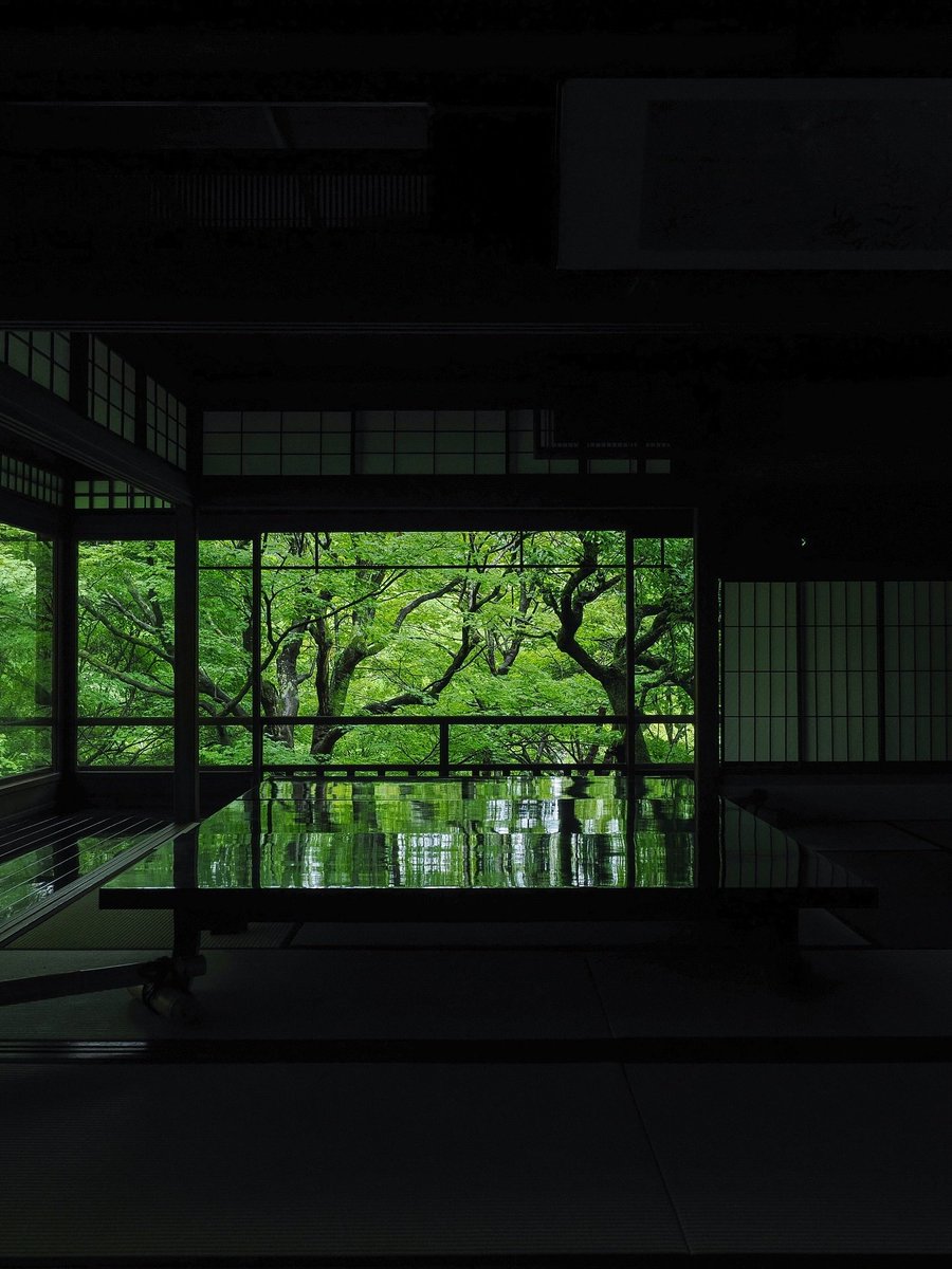 echoesofworld's tweet photo. Kyoto, Japan https://t.co/0BKm0kh7go