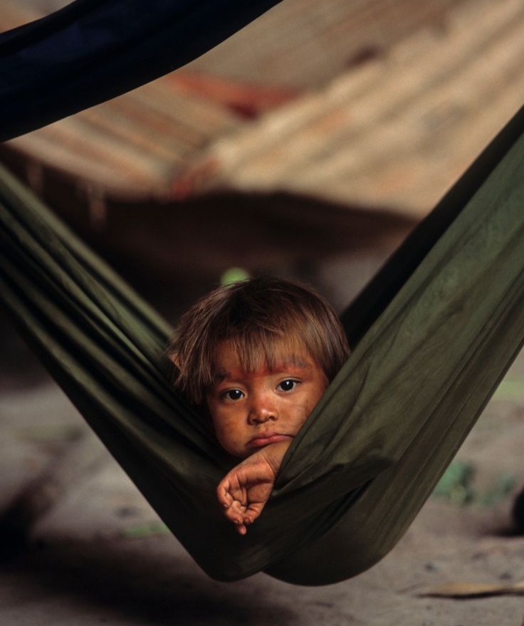 Atlantic_Sprt's tweet photo. Etnia Yanomami, AM | 🇧🇷 https://t.co/5YfTwfQ0n4