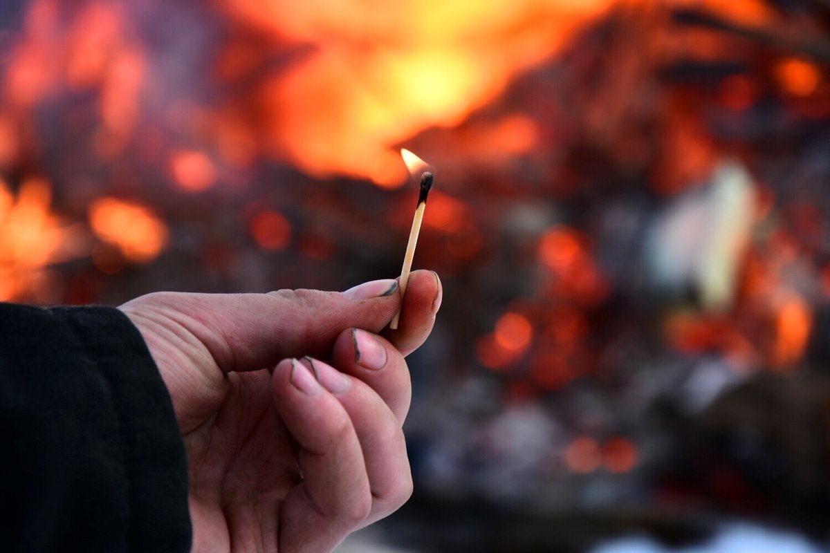 leparisien_78's tweet photo. Poissy : un pyromane surpris en train d’incendier la forêt de Marly
➡️ https://t.co/VJ4fllcKvE https://t.co/dJH9iCsneE