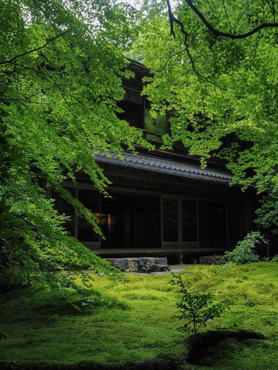 echoesofworld's tweet photo. Kyoto, Japan https://t.co/0BKm0kh7go