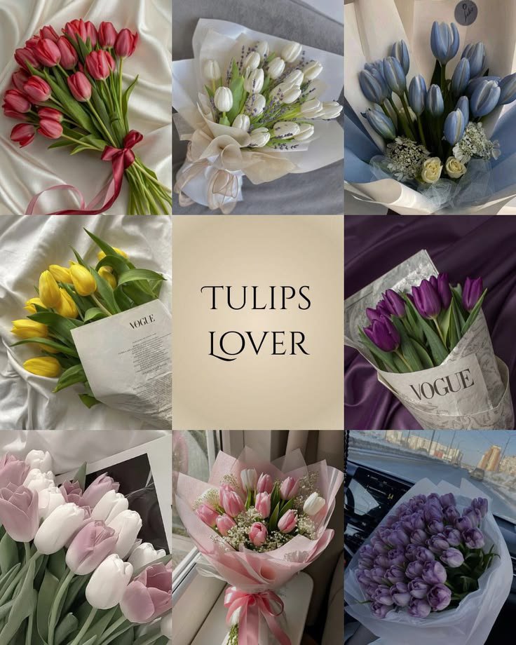 tulipslibrary's tweet photo. https://t.co/1igceKhcXi