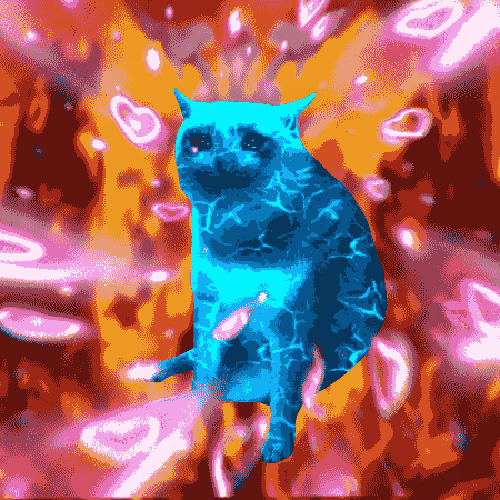 cashcatss's tweet photo. never let fear control you

cash-cat:native https://t.co/xmdqz9xP88