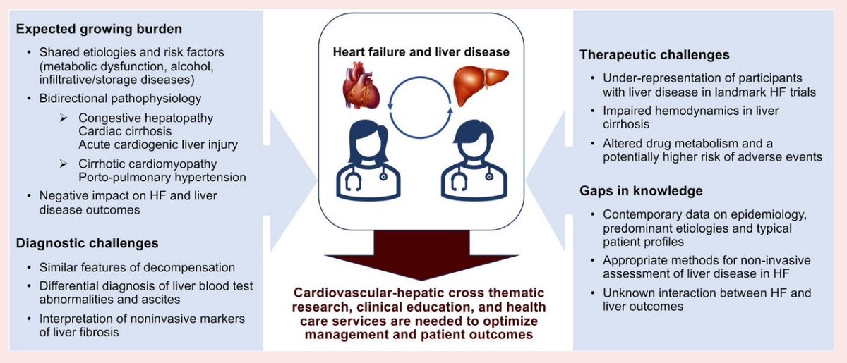 SolovevaAnzhela's tweet photo. Our HF-liver position paper is out!
@EJHFEiC 

https://t.co/6W3qIgP28q

Grateful for the opportunity to collaborate with such an outstanding team and for the constant support - thanks a lot! especially to dear @ARakisheva❤️ it wouldn’t have been possible w/o your encouragement https://t.co/Alq62PBgdk
