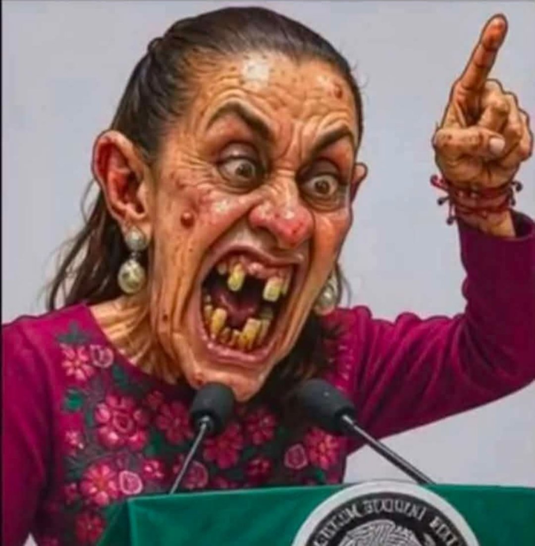 Alfonso_BC_87's tweet photo. @Melissa_Bely La primer mujer presidente 
Y la mas pendeja. https://t.co/qpMLY3XMc3