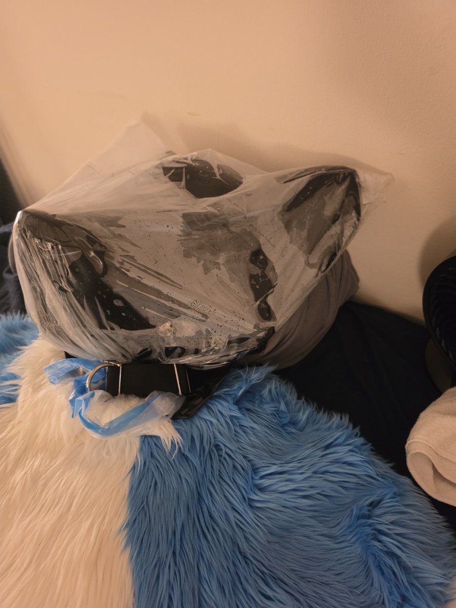 PotatoHusky's tweet photo. It would be a shame if i threw the key to your collar in a pile of keys and made you pick through them with your useless paws. Especially if that key goes to the bag locked on your head. Theres 150 identical keys in here. Not that can tell through that hood~

Better be fast puppy https://t.co/kdLukT6vfb