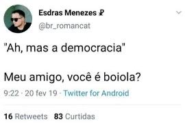 Athh1910's tweet photo. @rafaelkriek Bicha https://t.co/ftzp6JOCve
