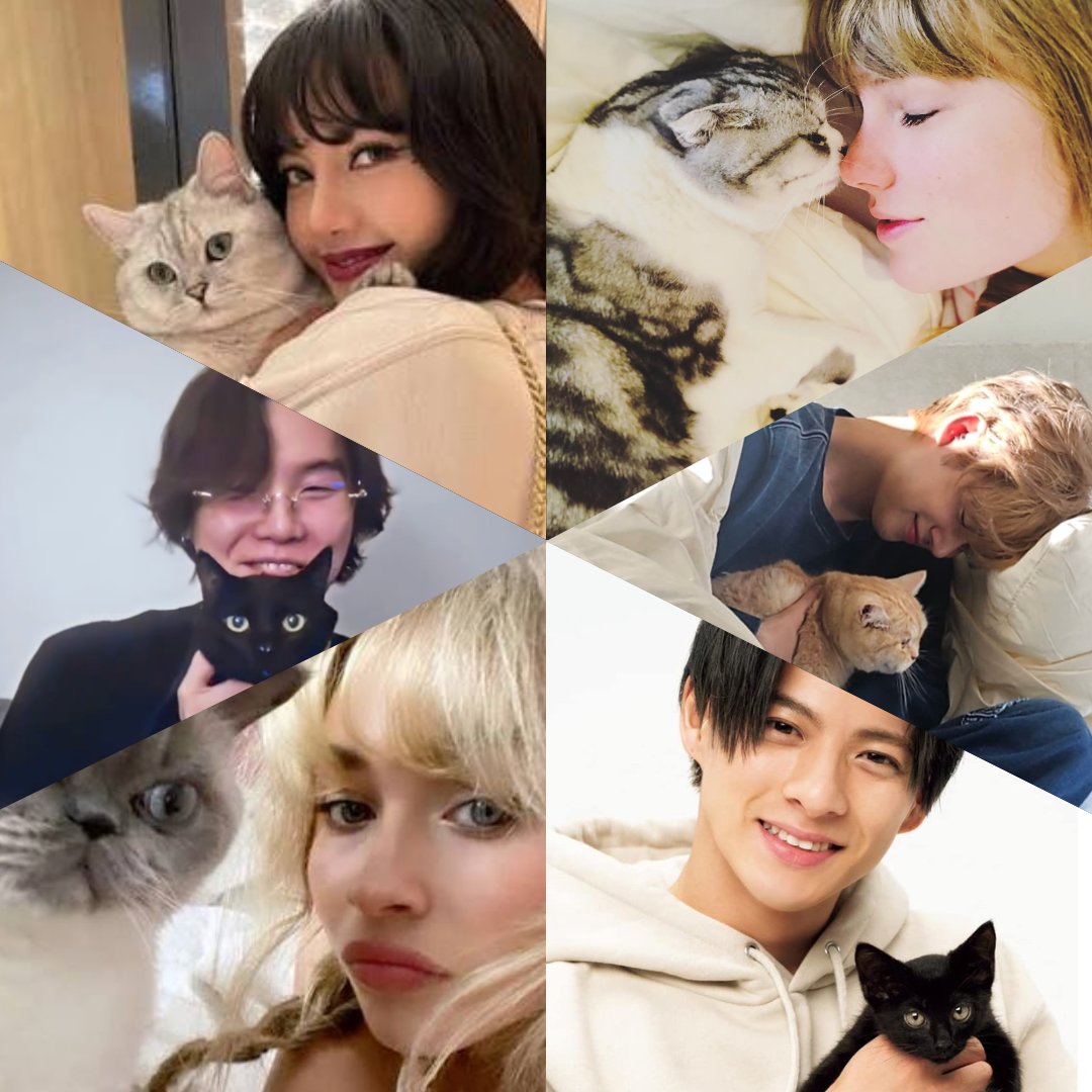 STATIONHEAD's tweet photo. Celebrating International Cat Day with some of your favorites 🐈

#TaylorSwift
#YEONJUN of #TXT
#ShoHirano of #Number_i
#SabrinaCarpenter
#SUGA of #BTS
#LISA of #BLACKPINK https://t.co/8rXgzGNJA3