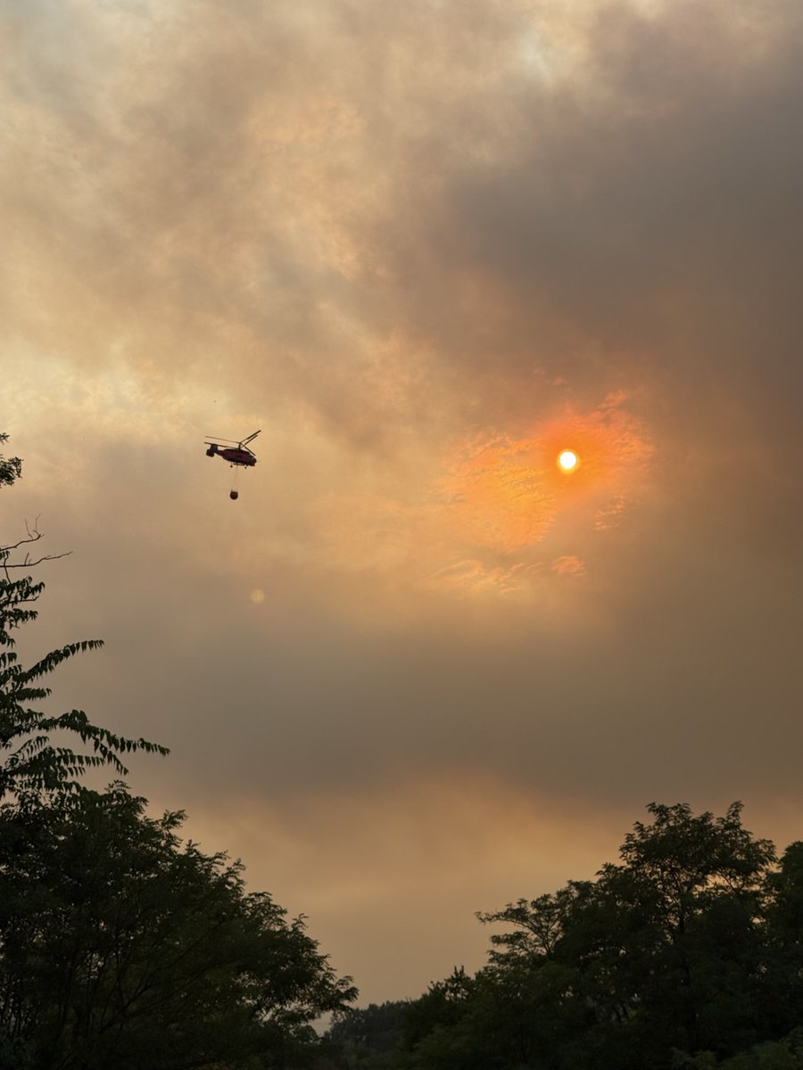 igdebre's tweet photo. Od raja do pakla, gori šuma svuda oko Šumarka. Nisam siguran da li ću ikada više videti svoju kuću. Evakuisali su nas 😞 https://t.co/ldBIsviWDm