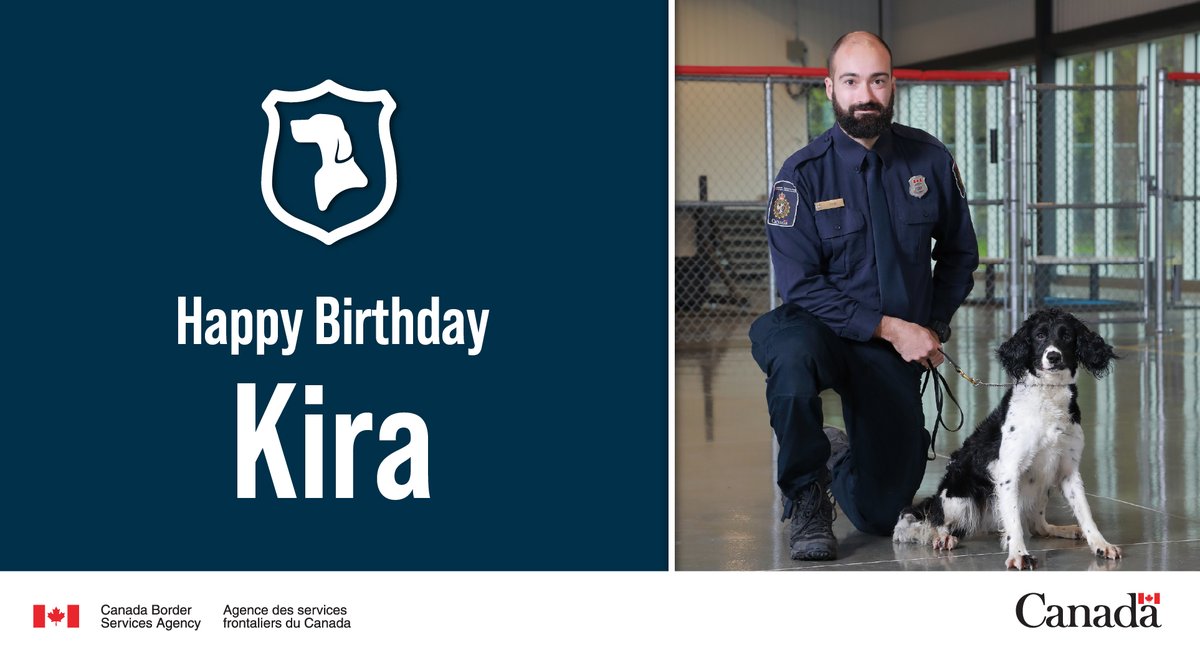 CBSANOR's tweet photo. Happy 5th birthday to #DetectorDog Shakira from #CBSAโs Northern Ontario Region! Just like the singer, her hips donโt lie when she detects contraband! Learn more about our #K9s #DogsWithJobs https://t.co/WiSpLy7E38 https://t.co/DRMt5v6iKh