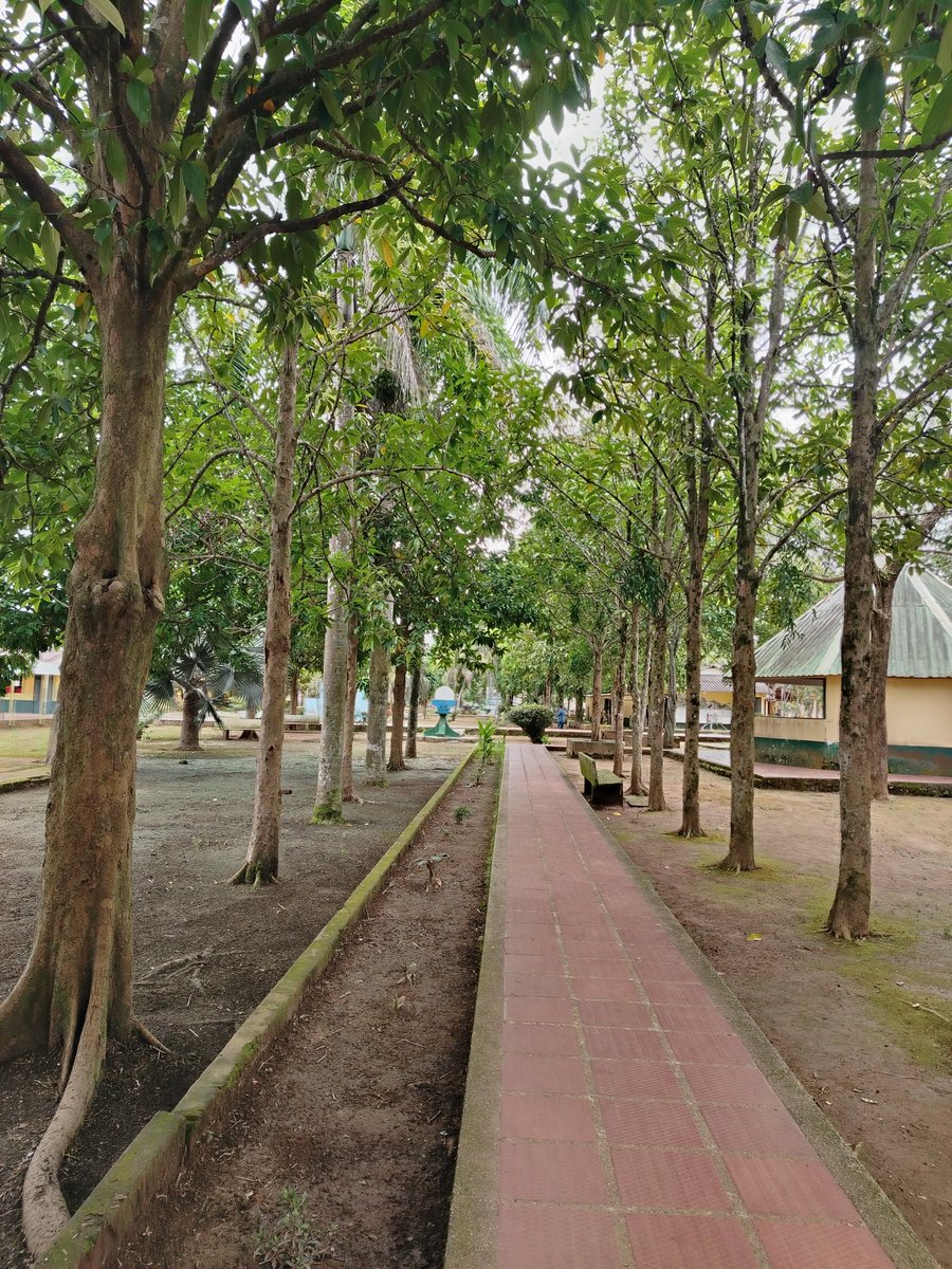 oscarivanperez's tweet photo. Colegio Francisco de Paula Santander donde mi señora Madre Mercy presto sus servicio como docente y mis hermanos cursaron sus estudios. #LaPrimavera #Vichada https://t.co/vxc3JdgF1B