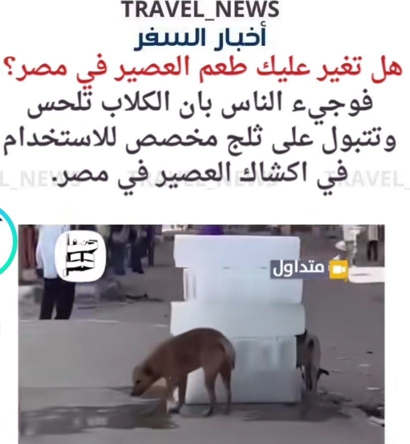 saudmohmaed's tweet photo. @MrKndel بص حضرتك ايه العفن ده
عشان كدا أنتبه تحب تنبح كتير 😂 https://t.co/N3triGKAVR