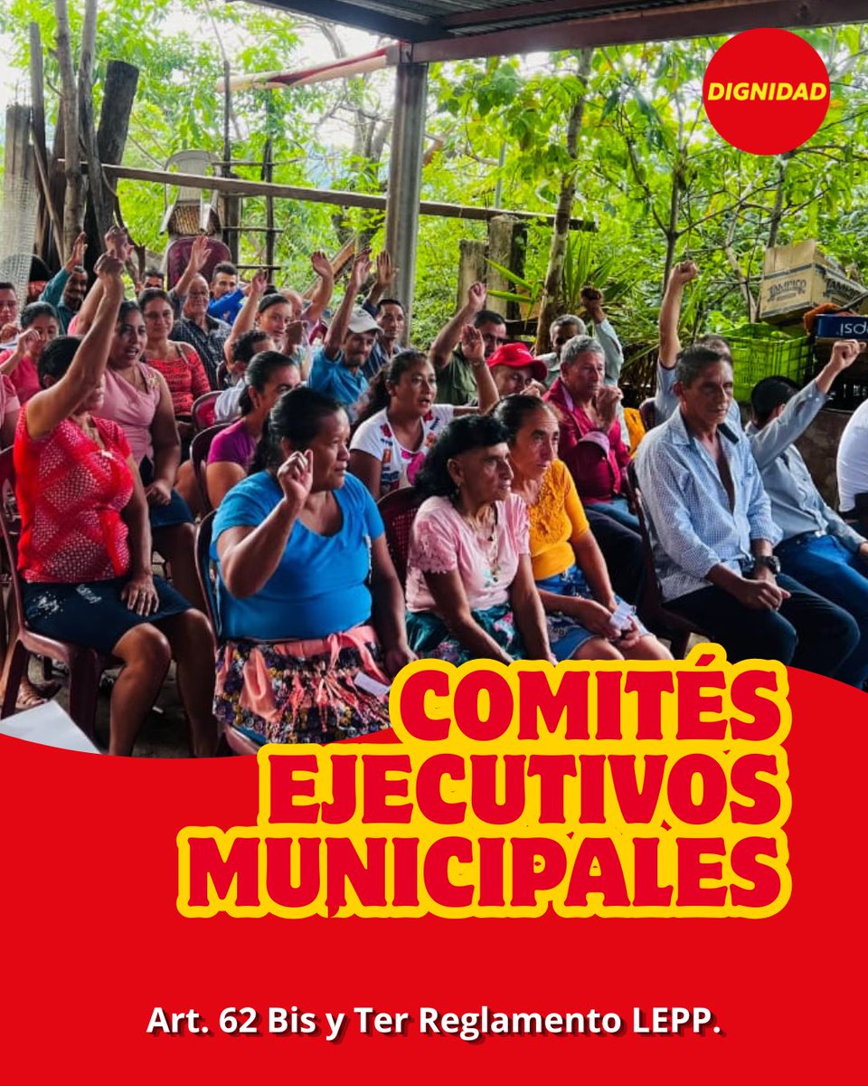 dignidadgt's tweet photo. Celebramos la formación de nuestros comités ejecutivos municipales. 

Agradecemos a las compañeras y compañeros que han tomado esta gran responsabilidad y forman parte de los más de 80 comités en todo el país.

¡Por el buen vivir! 🔴 https://t.co/7mTLKcvftQ