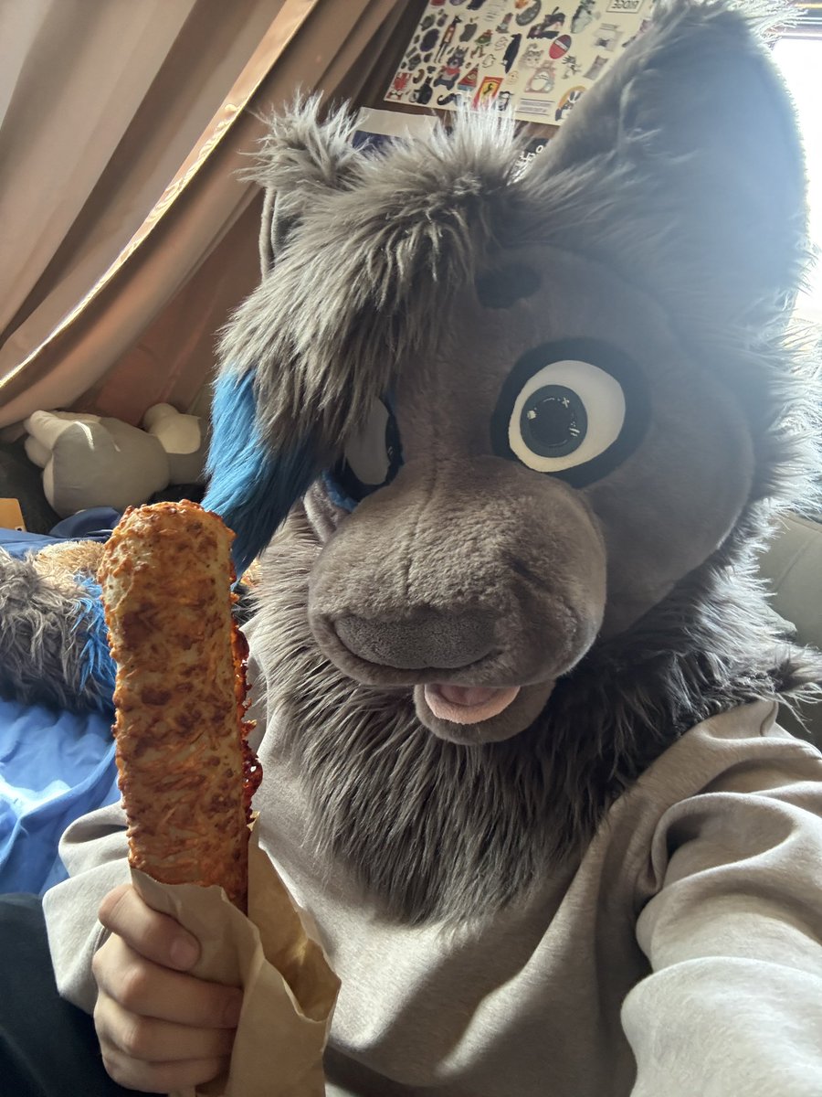 awful_feline's tweet photo. Another #fursuitfriday another #chickenbake https://t.co/eZveiaNgnc