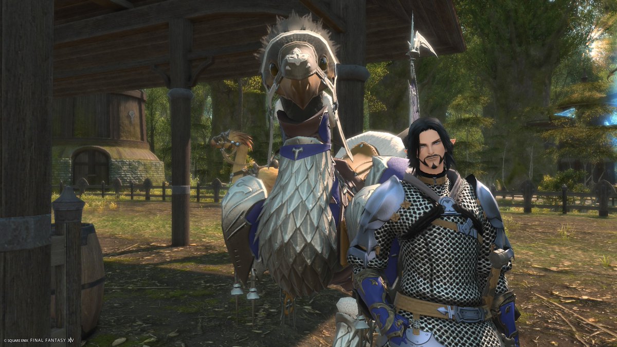 Questing_Squire's tweet photo. @ElfAuroraRora Here is my elezen! Lancellox Vallemere  on balmung https://t.co/O7h84lXoah