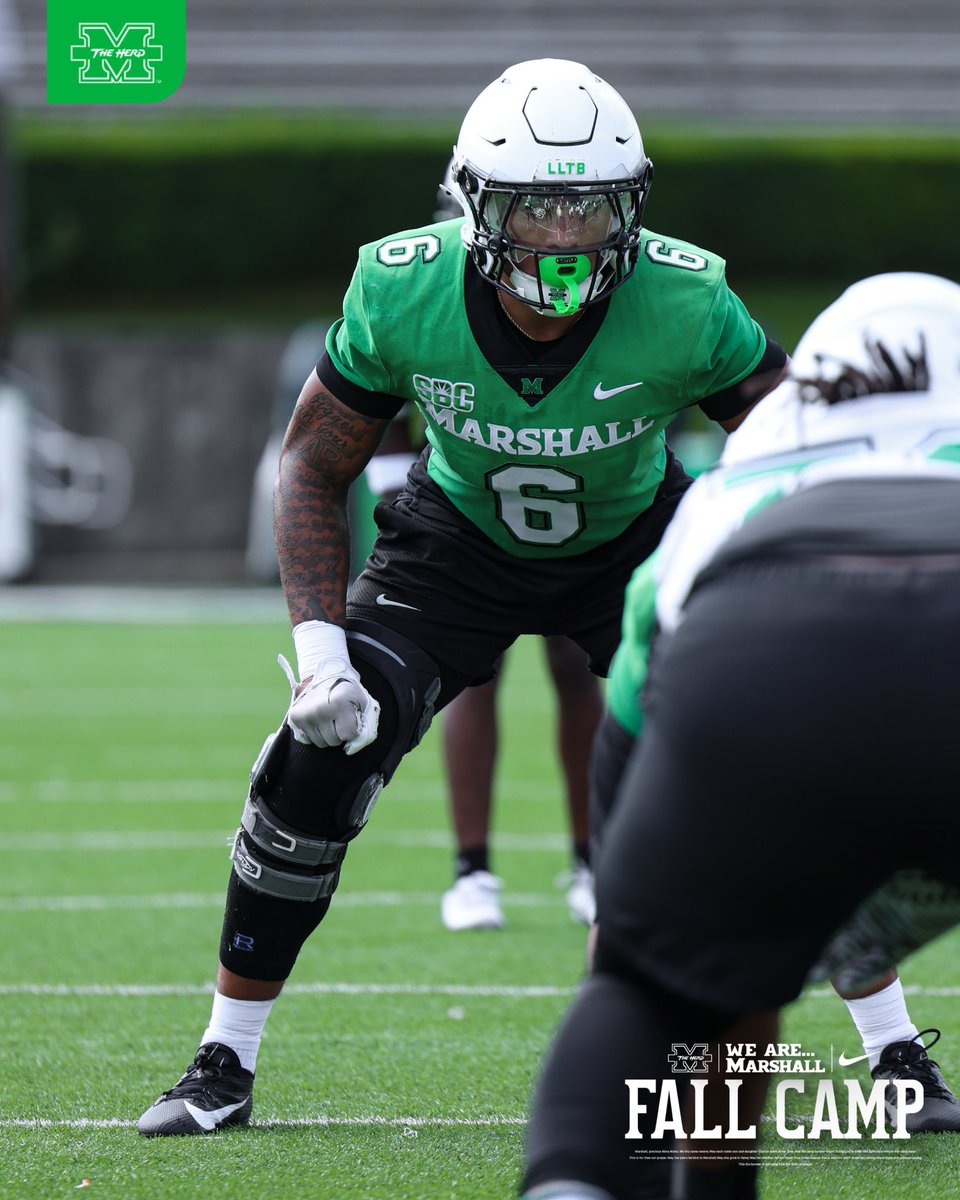 HerdFB's tweet photo. Building on yesterday. 🟢 https://t.co/woRLlIxuQ1