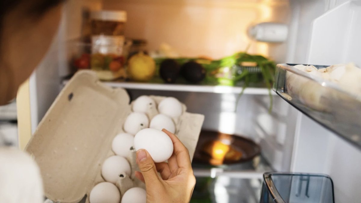 animalgourmet's tweet photo. 🥚🥚 ¿Pones los huevos en el refrierador? Te cuento qué relación hay con la salmonella.
https://t.co/Q2NCQIq09E
#tipsdecocina #huevos #refrigerador #AnimalGourmet https://t.co/PbZTvqb8UV