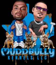 CashOutProds's tweet photo. CREATORS — LET'S MAKE YOUR BRAND/LOGO STAND OUT.

Need artwork for your music, channel, merch, or next project?

Cashout Productions can help. 

📩 DM for commissions
🌐 https://t.co/gFzngXo8Vg https://t.co/nba4rFw2dt