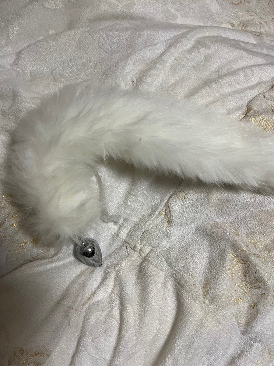 y736ve's tweet photo. 我的小床🥺 #少萝 #小狗日记 https://t.co/zGD93LOst7