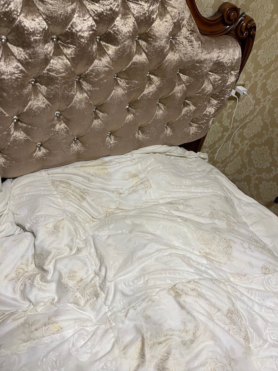 y736ve's tweet photo. 我的小床🥺 #少萝 #小狗日记 https://t.co/zGD93LOst7