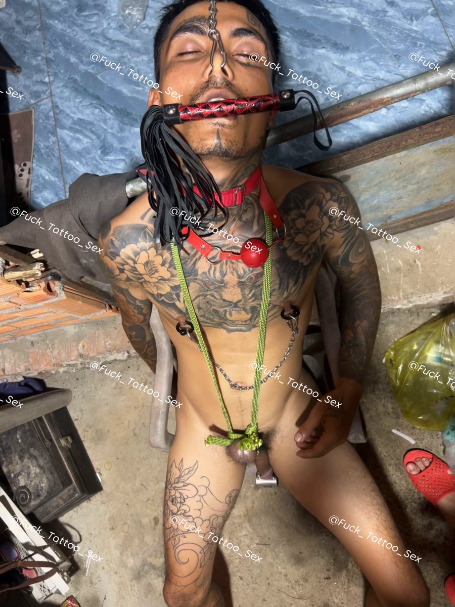Fuck_Tattoo_Sex's tweet photo. Vì tao nhậu say và đái bậy nên phải chịu hình phạt , ngược đãi con cặc bị xỏ lỗ bằng ổ khóa và cặp vú bị xỏ lỗ, trứng dái bị đánh và kéo căng https://t.co/8iJTMDXEIc