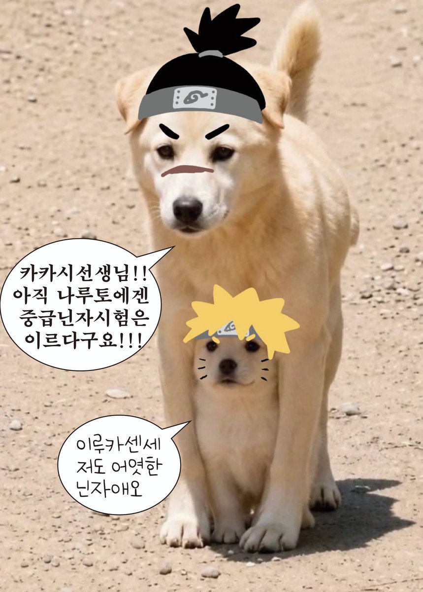 pretty_kakashi's tweet photo. 중닌시험 에피 이루카 나루토아빠임 거의 https://t.co/2KuglhzaLM