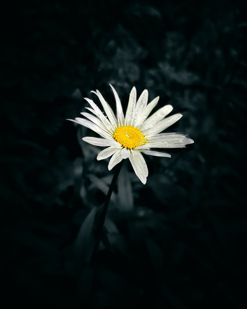 asx_monster's tweet photo. Mobile Photography 📲 #photography https://t.co/7bInFLnSgU