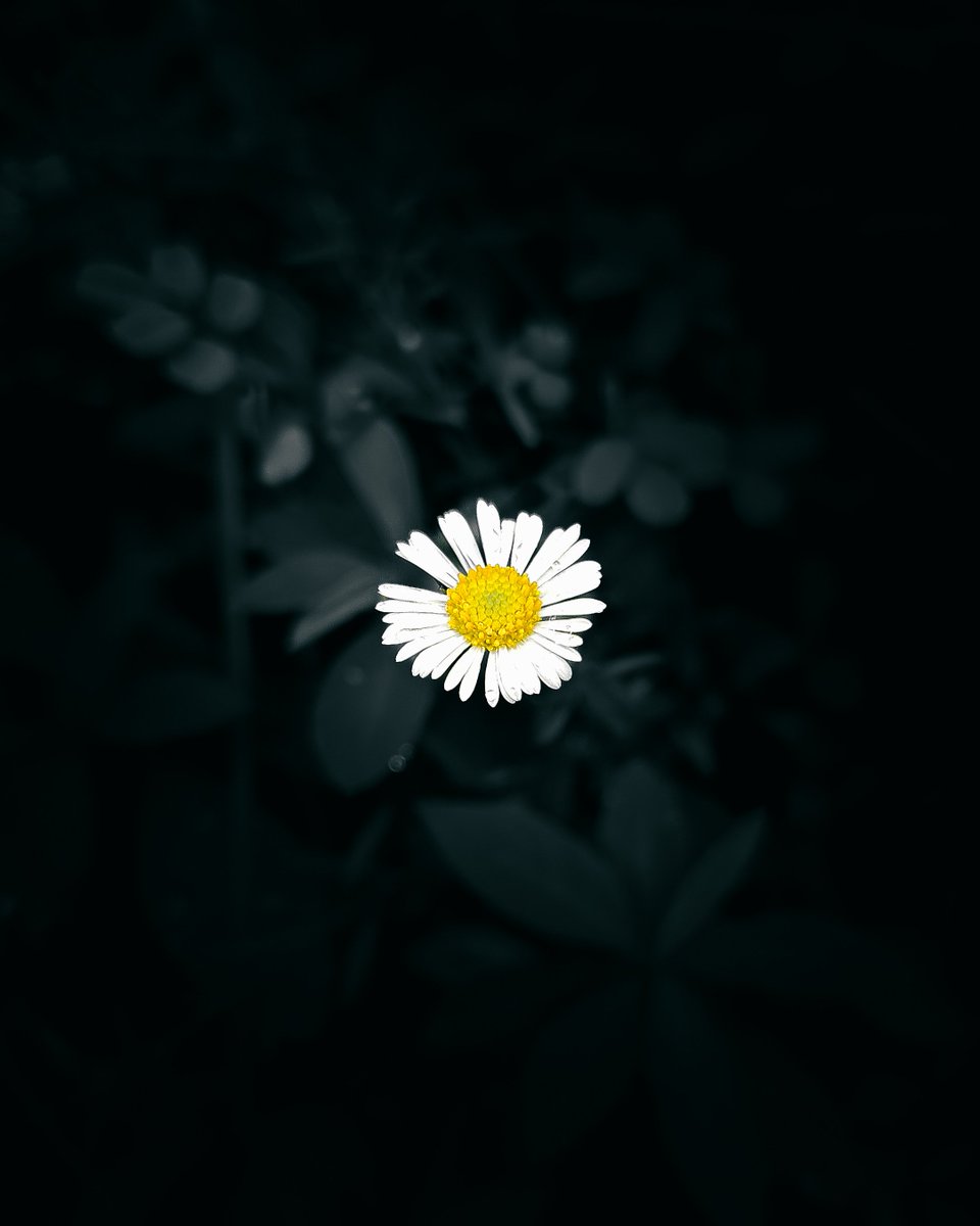 asx_monster's tweet photo. Mobile Photography 📲 #photography https://t.co/7bInFLnSgU