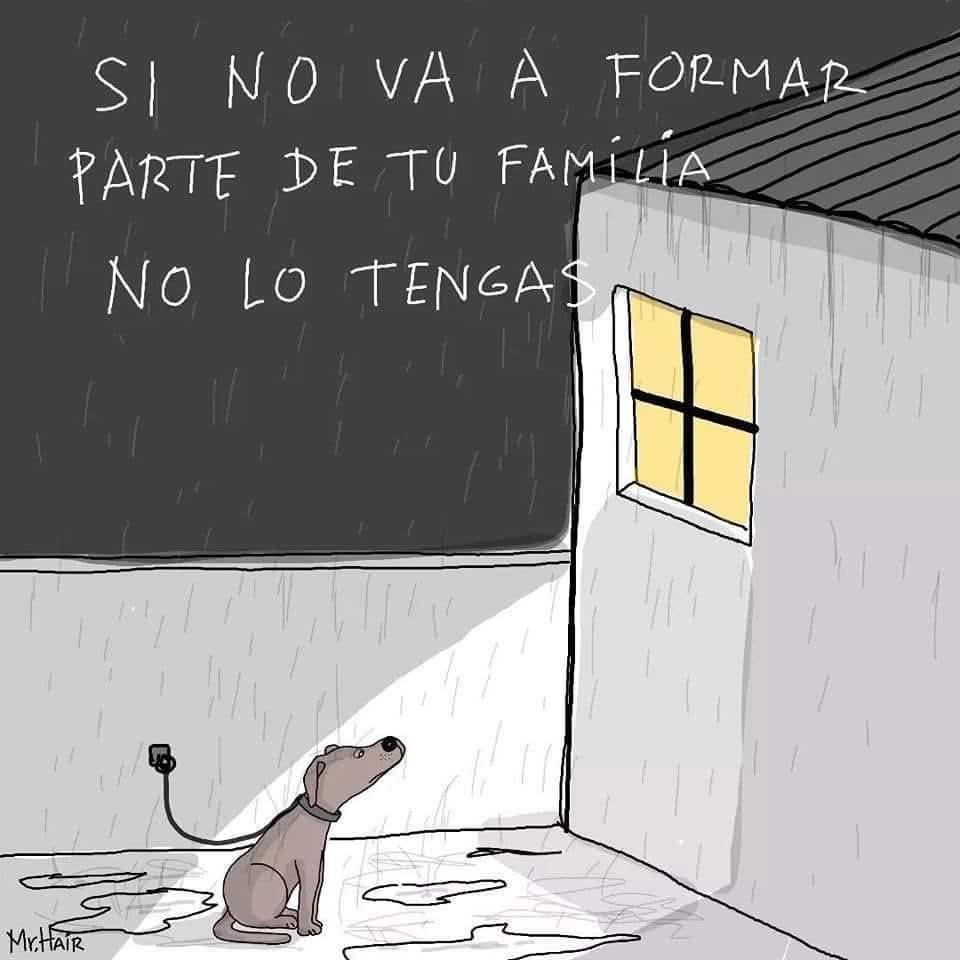 RincnCuriosoo's tweet photo. Tan cierto. https://t.co/XRUFkatZGo