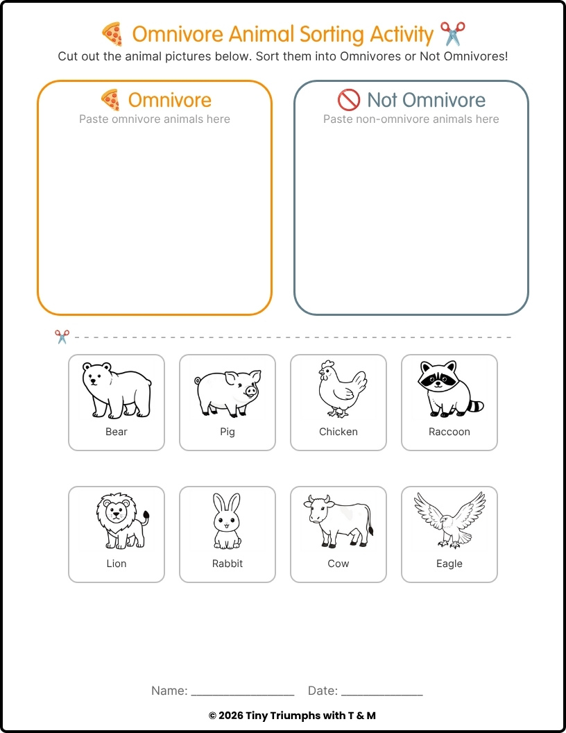 ultimatechamik2's tweet photo. Check out my latest product: https://t.co/WwB9XGARYQ 
The Main Animal Groups Activity Worksheets | Kindergarten Science Workbook | Animal Classification Activities https://t.co/GXsrNC14GQ