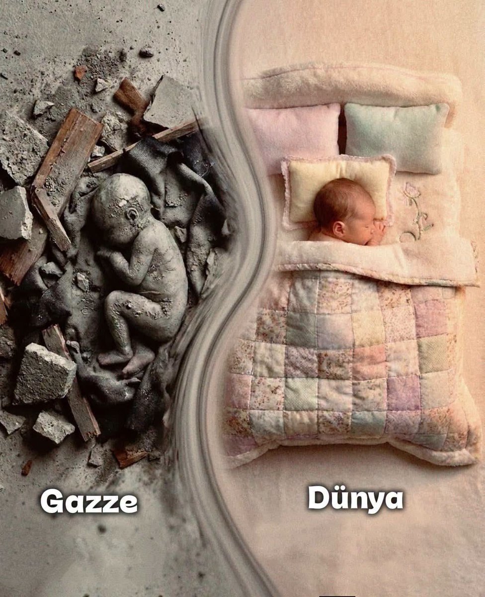 Yahya_Sinvar_'s tweet photo. Ne ahlaksız bir tenakuz https://t.co/TX5SNHj7Qs