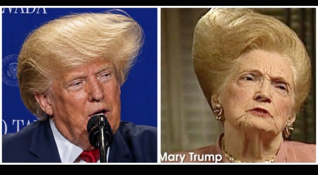 MARIELinBOSTON's tweet photo. Trump's 'Blue Wave' is his hair! ๐
#VoteBlueToSaveDemocracy #MidtermElections
#ImpeachAndRemoveTrump #TrumpIsNuts https://t.co/oZB5q8n4mo