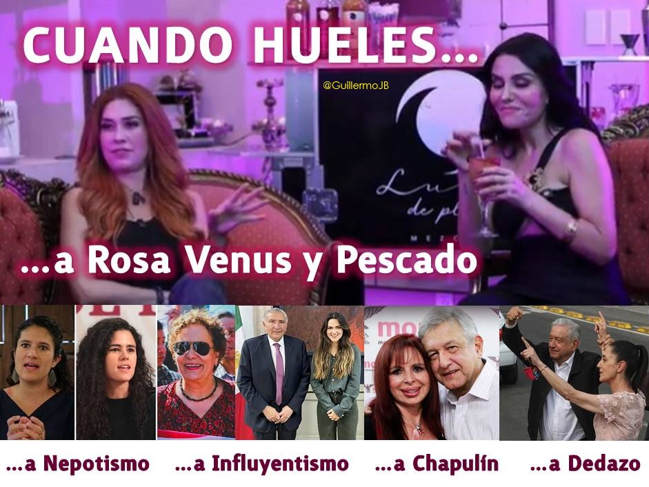 GuillermoJB's tweet photo. @alarcon_dibujos @heraldodemexico Sin olvidar que las hay, quienes huelen a Rosa Venus y Pescado, Nepotismo, Influyentismo,
Chapulín político, Oportunismo, Dedazo político,...
Y también, quienes huelen a:
* Corrupción,
* Rencor político,
* Riqueza franciscana,
* Abundancia republicana,
* Impunidad
* Etc, etc. https://t.co/BOpKFwn0Ba