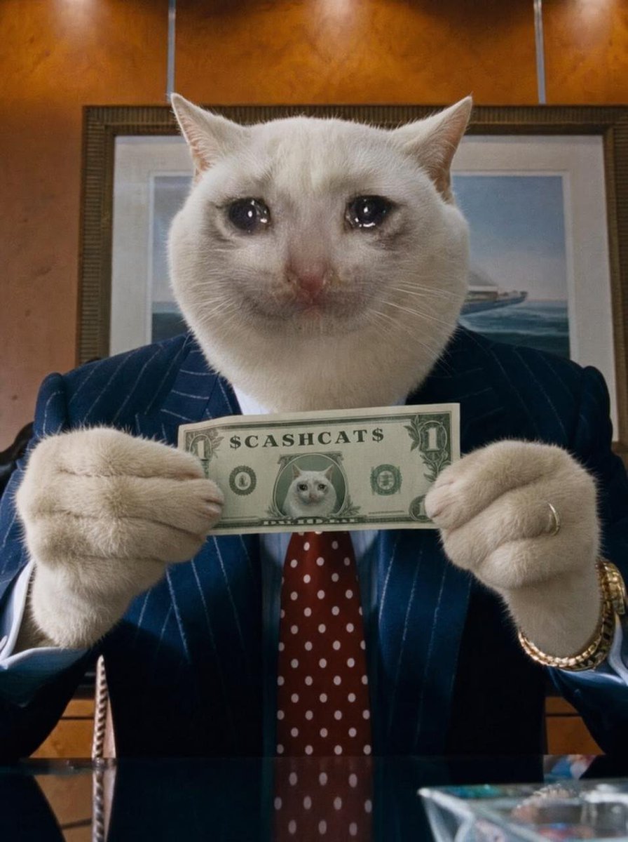 Kenzo_Labs's tweet photo. GM !! $Cashcat tapped 200M and listed on @RobinhoodApp 🔥 

Hoping you guys enjoying the ride, 

From initial call , we got 4x 😺

Let's send to billions... https://t.co/PoaAWj0ZiQ