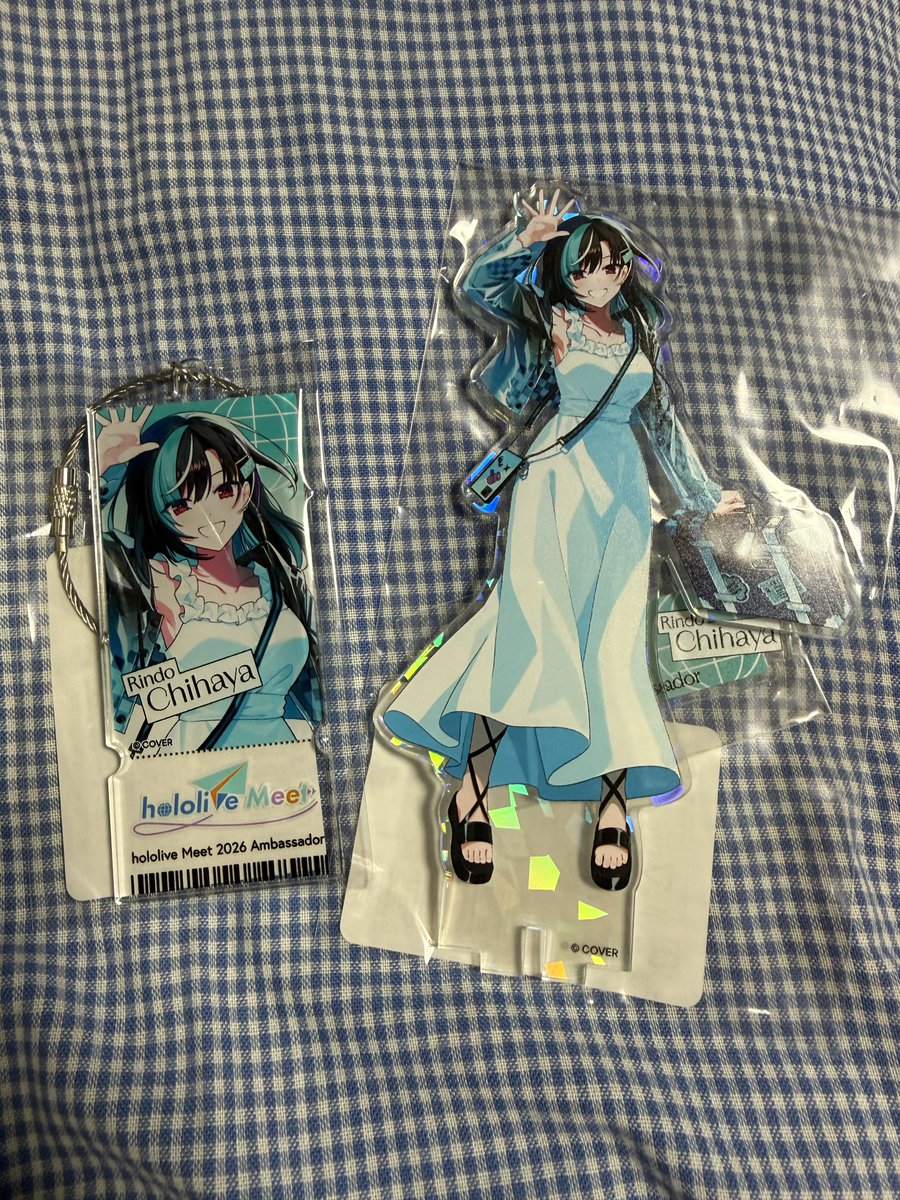 tsumiNms's tweet photo. そういえばhololive Meetのちはのアクスタが届いててハッピーになりました https://t.co/HMnI5Njwvt