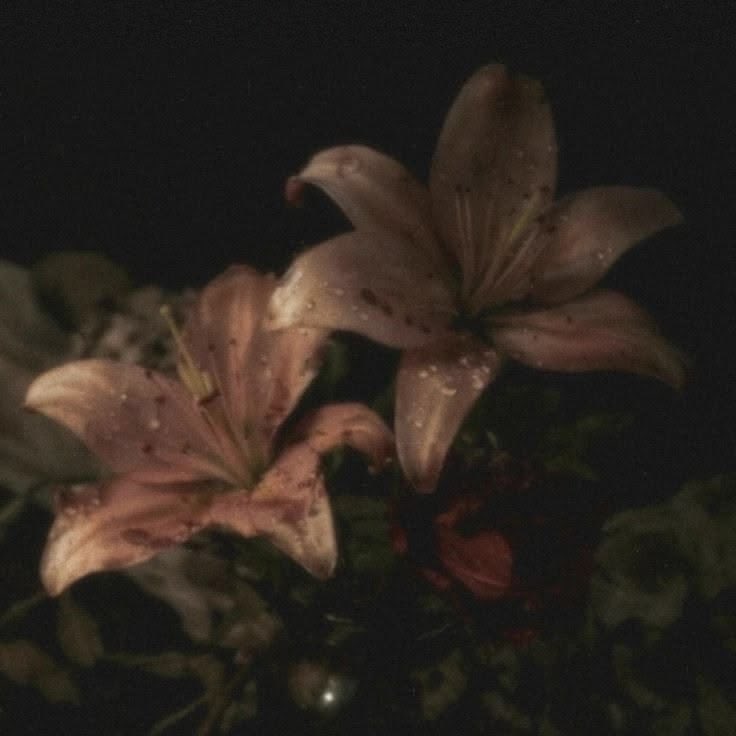phoenixstpierre's tweet photo. how does pinterest see me? ⋆ ˚｡⋆୨୧˚

• makeup palette ✧˖°.
• flower  ✧˖°.
• sea  ✧˖°.
• dress ✧˖°. https://t.co/pvu9155cvT