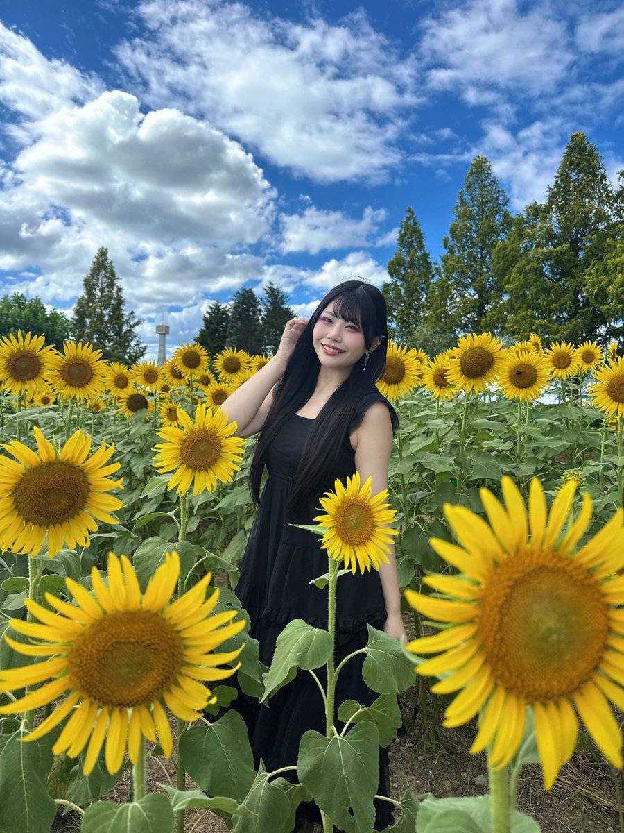 krd8_miyuyu's tweet photo. とっても綺麗なひまわり🌻
夏の景色だいすき🫶🏻 https://t.co/7JOmtn5No9