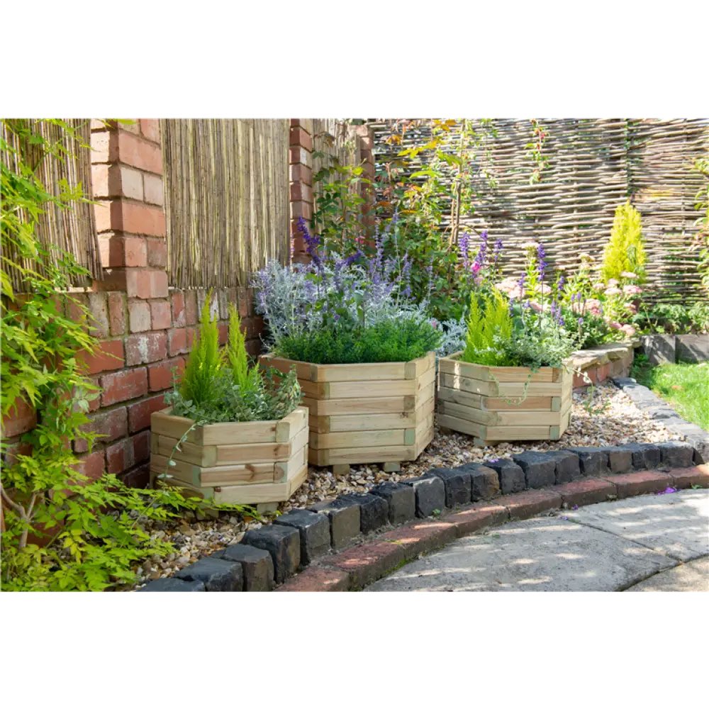 allotmentonline's tweet photo. Enter for the chance to WIN a Set of 3 Hexagonal Planters from Blackwood Outdoor Living in our National Allotment Week Giveaway!

Please follow, RT, tag/share and enter on the link in the comments! https://t.co/doW42MIEs9