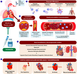 SEMERGENap's tweet photo. #RevistaSEMERGEN 📙Documento de consenso. Prevención cardiovascular integral: el papel de la vacunación en el adulto mayor con enfermedad cardiovascular. Documento de consenso de expertos
C. Bonanad, R. Alfaro, Á. Morán Bayón, M. Cainzos-Achirica, A. García-Lledó, S. Raposeiras-Roubín, D. Vivas, R. Freixa-Pamias, ... E. Redondo
Semergen. 2026;52: 102819
https://t.co/eninZ4WPX0