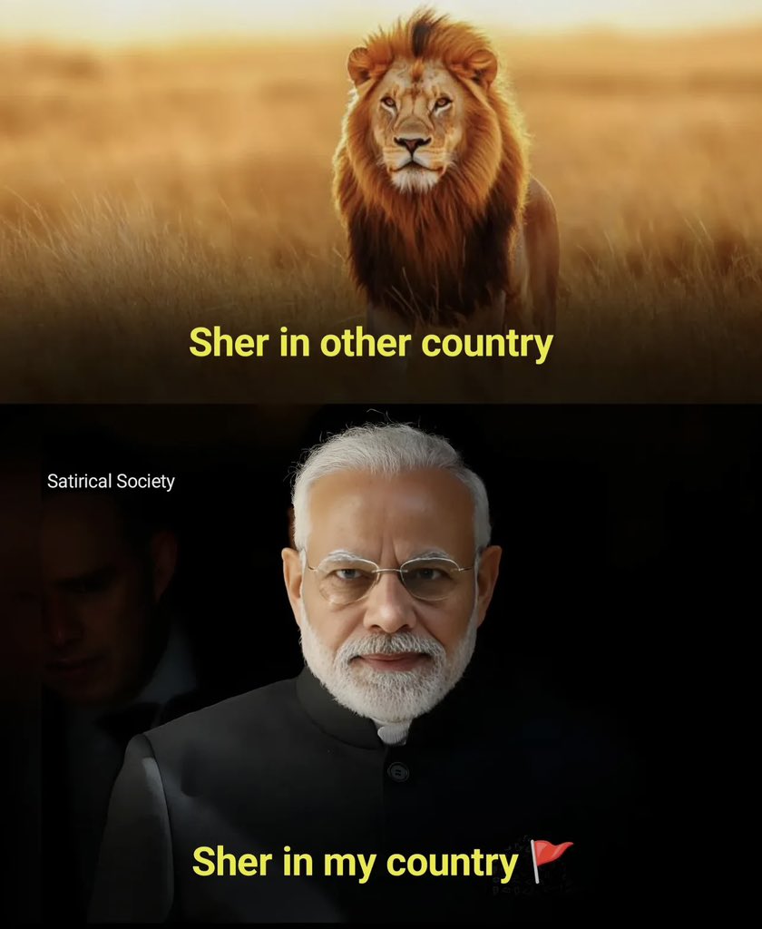SwakshTripathi's tweet photo. Unapologetic lion 💯 https://t.co/HtxkZq6Mju