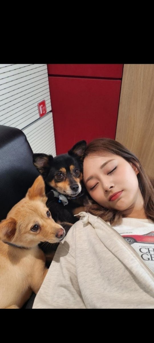 z27989e3c7222's tweet photo. TWICE！ツウィちゃん！大好きです！ https://t.co/Il2Ikwe8Lf