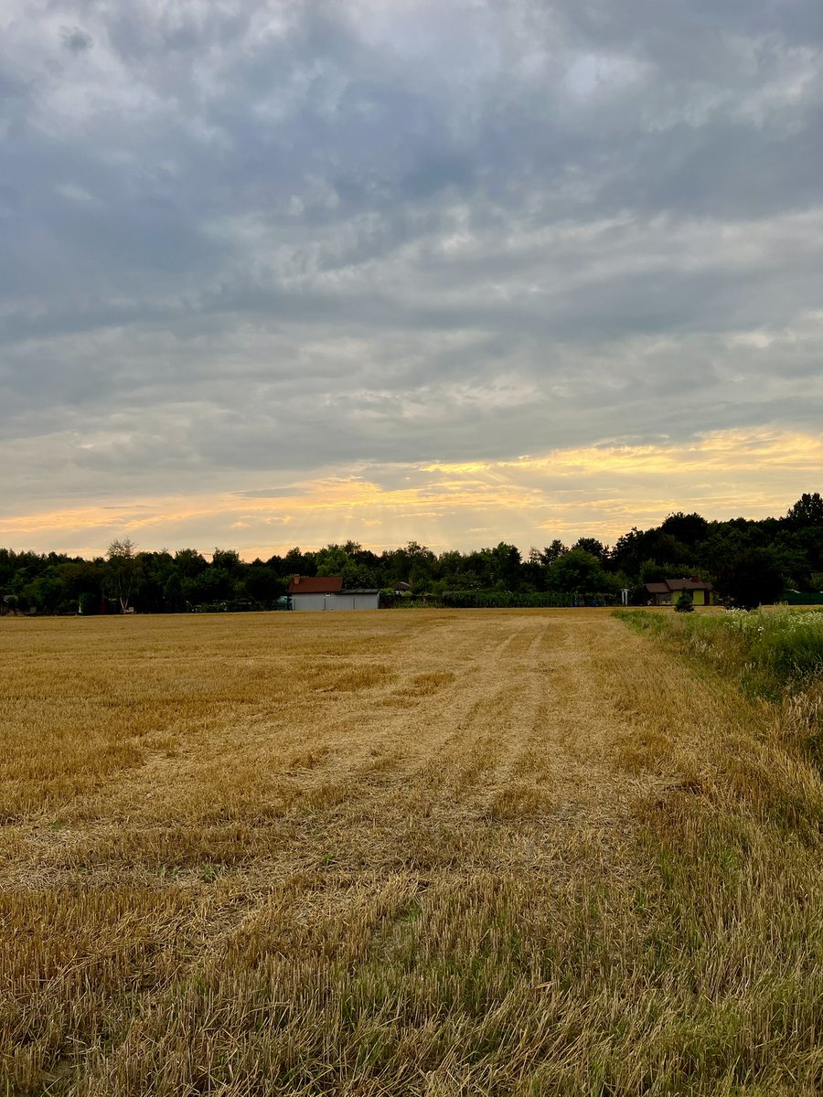 tomasznicieja's tweet photo. Potrzebowałem przewietrzyć głowę, a jak to zrobić? Najlepiej wyjść pobiegać, same korzyści 🏃♂️😁 Trasa bez celu, na spokojnie, bez ciśnienia, to był przyjemny krótki bieg💪
#Garmin #Fenix7
#run #running #bieganie #walking
#zabieganyprogramista https://t.co/ynETdqjWOG