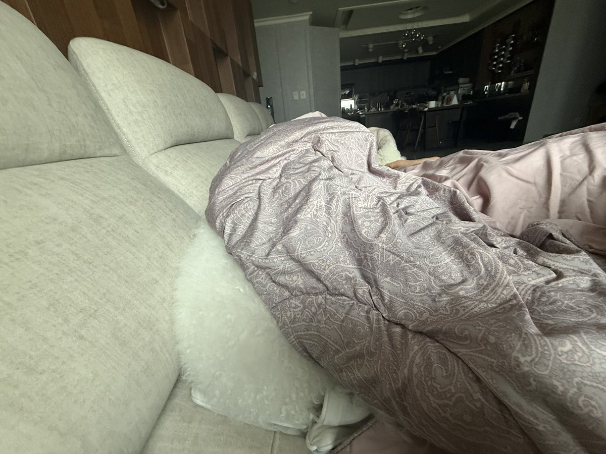 lemom100percent's tweet photo. 깨웠다고 들어가는 것 봐 https://t.co/YFMwnYuDab
