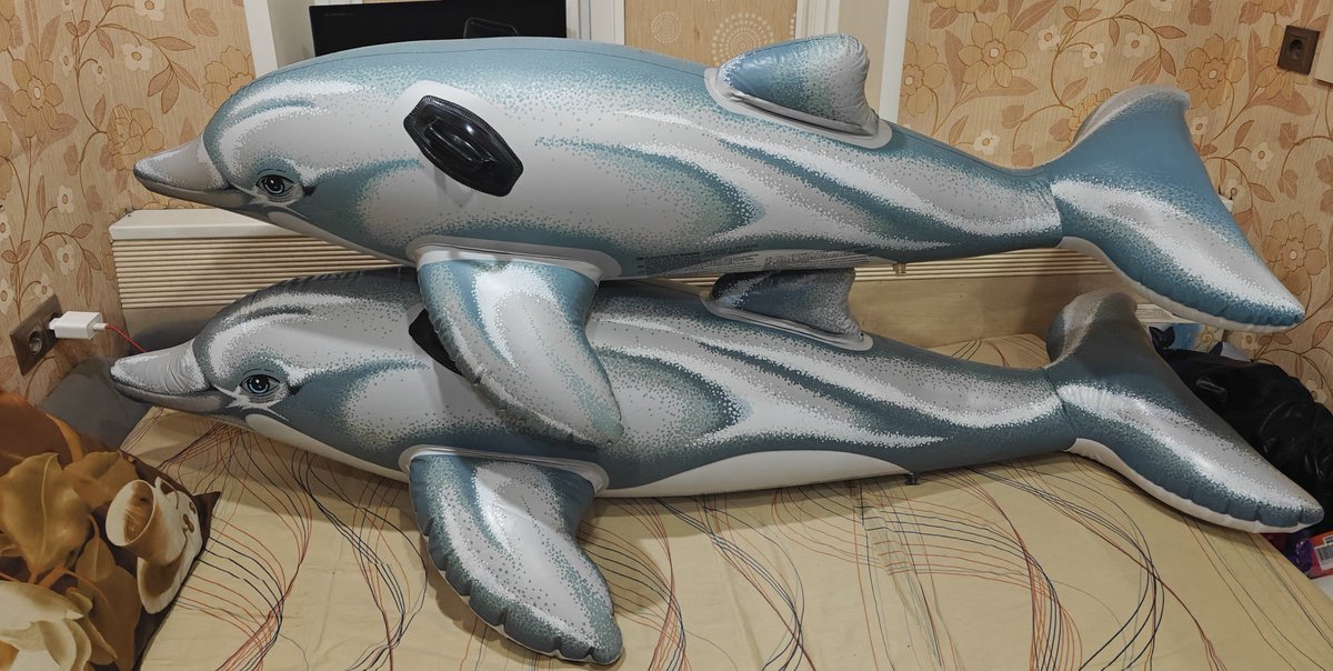 PhobosTheDragon's tweet photo. In the meantime, I continue to show off my vintage inflatable collection :3 Here are my Intex old-style realistic dolphins ☺️ #inflatables #squeaks #inflatabledolphins #inflatabletoys https://t.co/8mHROxAPDv