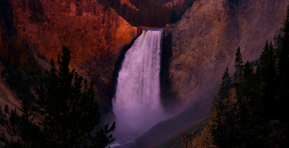 MyBluHorizon's tweet photo. Sunrise at Lower Falls in Yellowstone National Park—golden canyon walls, rising mist and one unforgettable morning view.

Explore the Lower Falls Sunrise Collection: https://t.co/MGoBgAGpE7

#LowerFalls #YellowstoneNationalPark #MyBluHorizon https://t.co/l2Bbcu0gqP