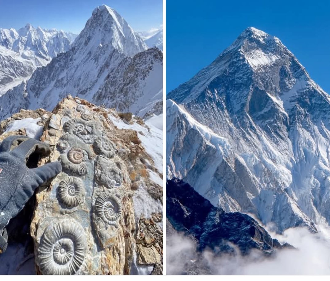 Hana_b30's tweet photo. Mount Everest contains marine rocks, proving that the highest point on Earth was once at the bottom of the ocean. https://t.co/3lSkk6g6DL